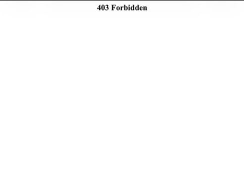 中国大陆地区玩家试玩模拟器显示403报错画面